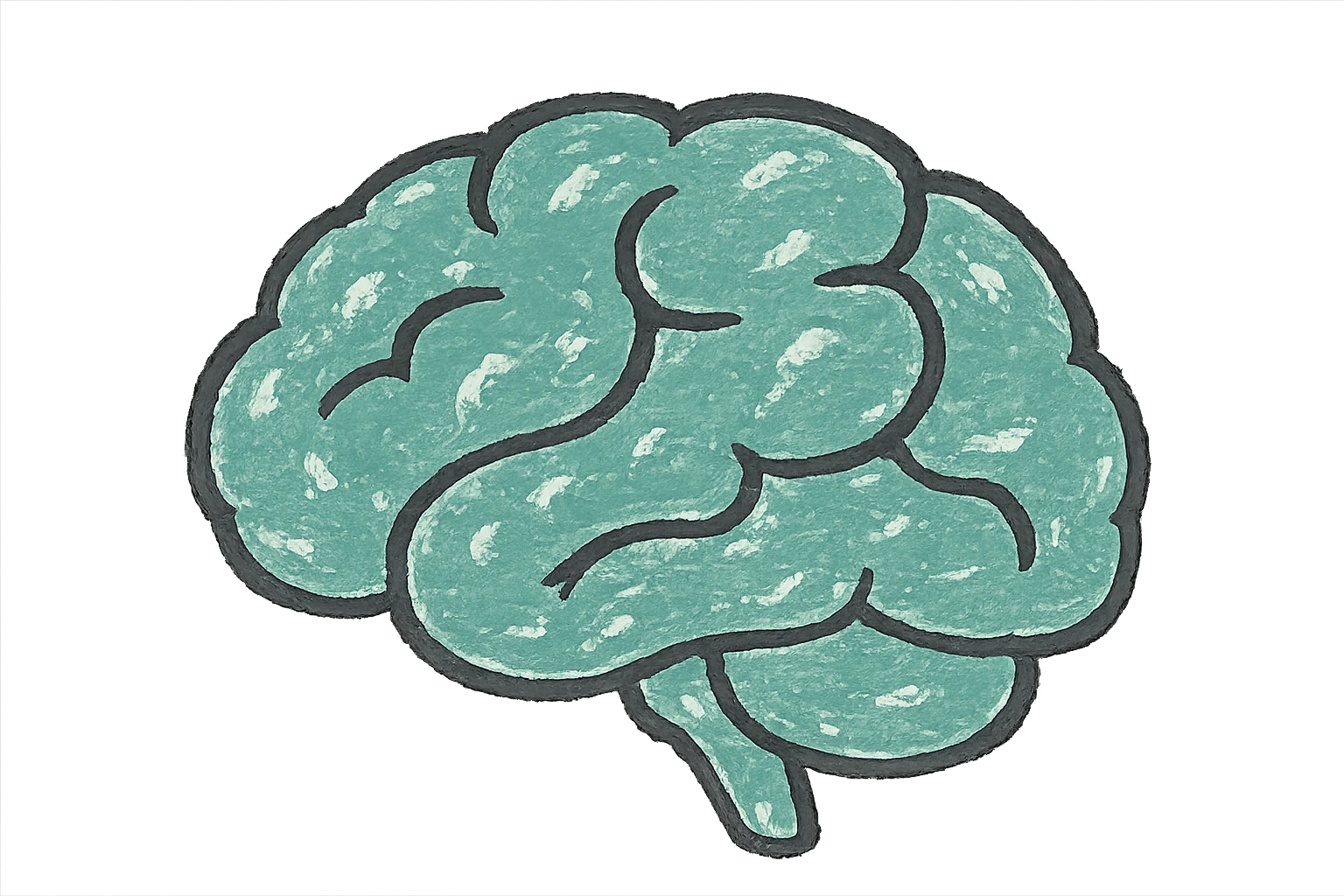 Brain